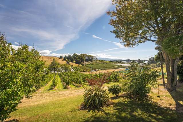 89 Weka Road Tasman_3