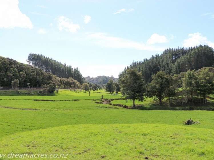 242 Owae Road Russell Surrounds_15