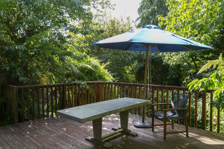 1/10 Weka Road Waipahihi_6