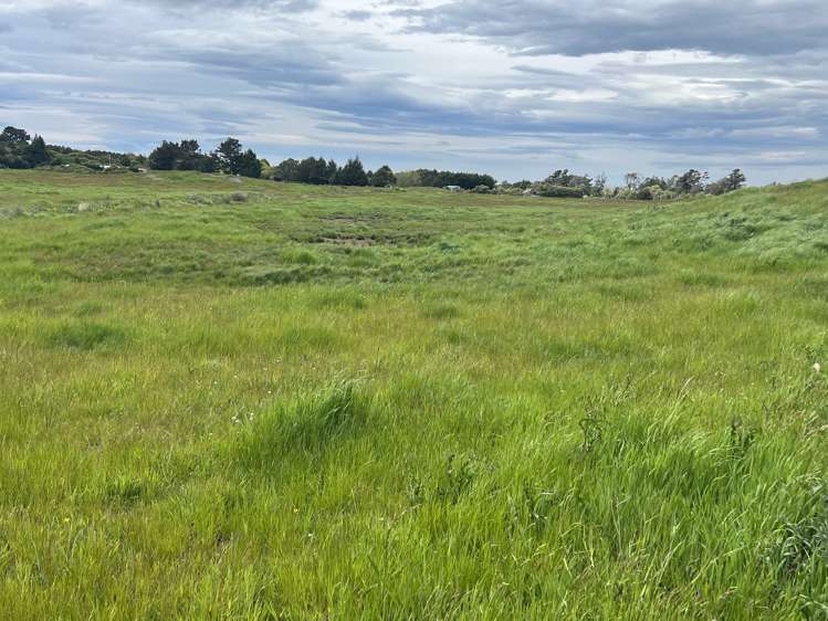 34 Flaxmill Way Otatara_4