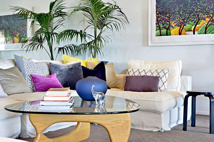 4c Harbour Street Saint Marys Bay_7