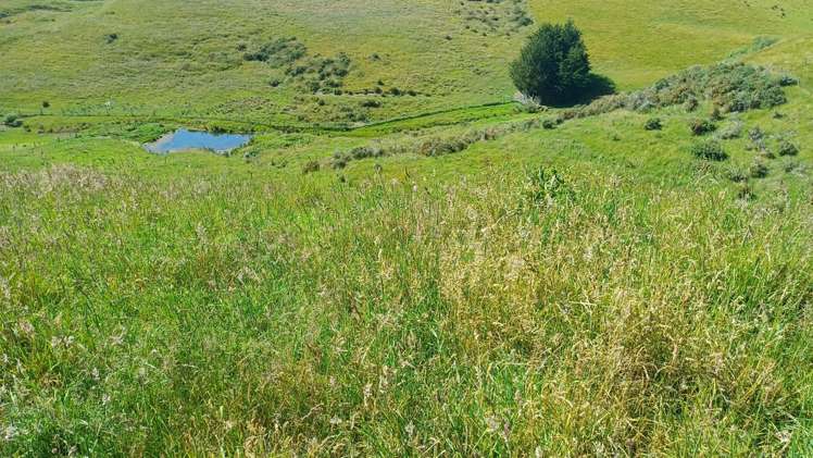 Lot 3/DP 592022 Siegerts Road_4