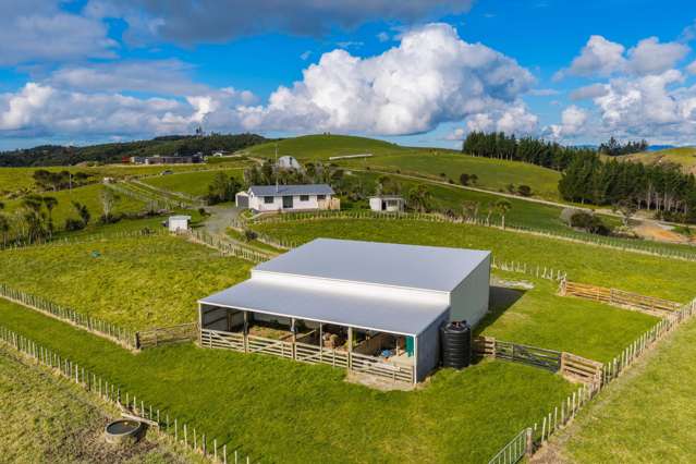 579 Ormiston Road Waipu_2