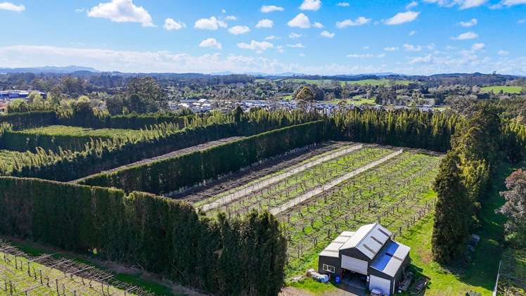 387 Kerikeri Road Kerikeri_7