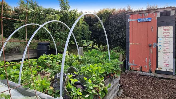 210k Monowai Road Wainui_29