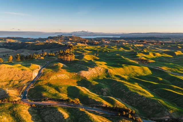 473 Otake Road Marotiri_4