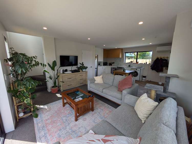 35a Wembley Street Sydenham_6