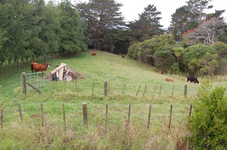 311 Annandale Road Taupaki_18