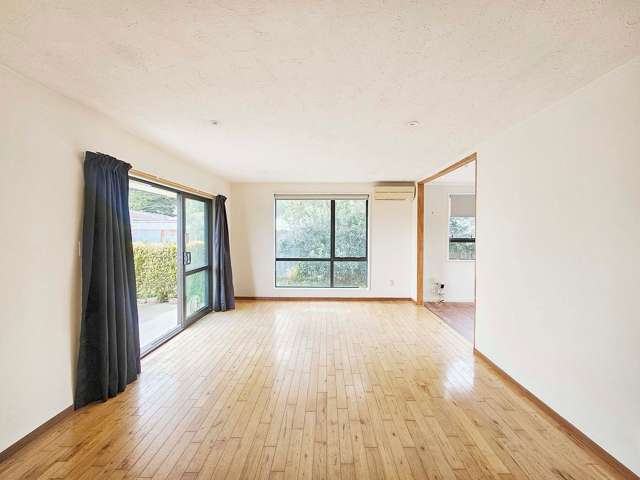 91 Chelsea Street Linwood_2