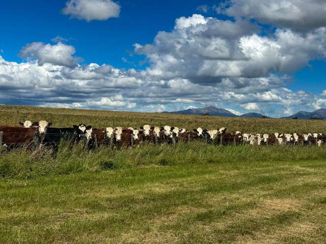 412 Kakapo Road Te Anau_2