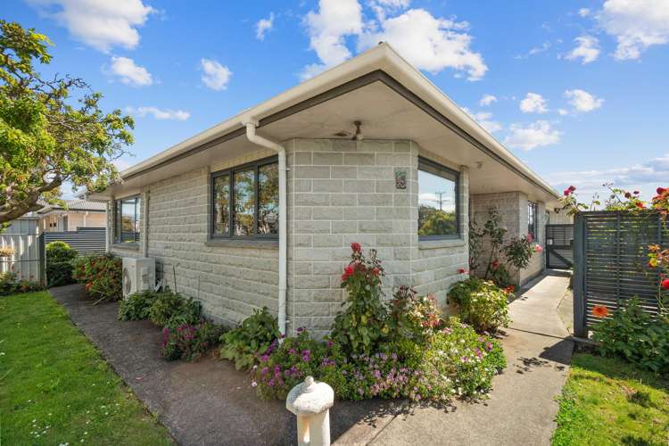 43 Worksop Road Masterton_16