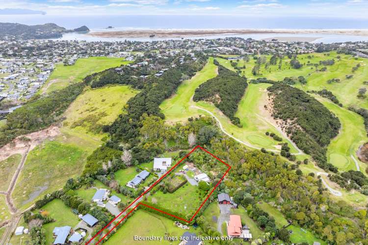 79C Jack Boyd Drive Mangawhai Heads_0