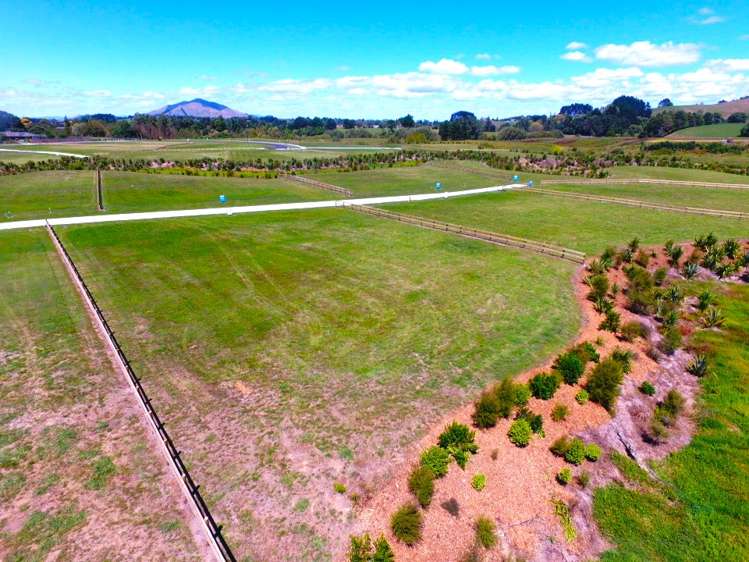 Lot 22 Baffin Street Pirongia_6