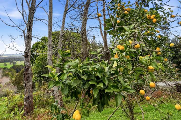 497A Tara Road Mangawhai_18