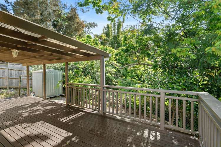 20A Pine Street New Lynn_11