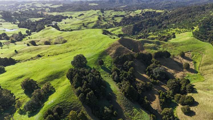 30C Te Ranga Road Kaeo_28