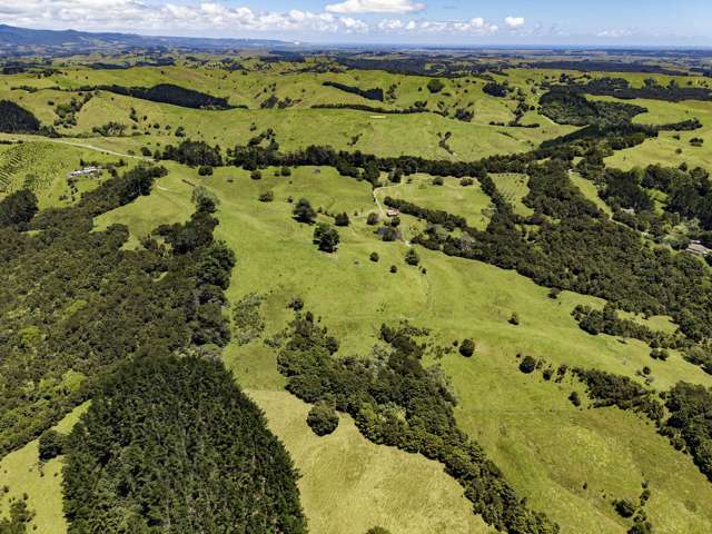 770 Fisher-Riley Road Kaingaroa_4