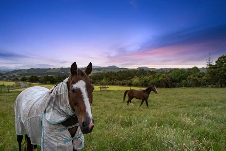 21b Pearson Road Maungatapere_8