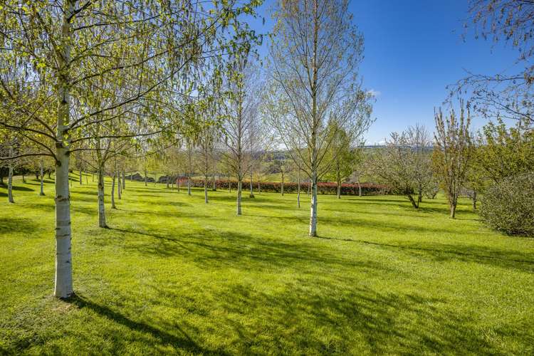 135 Willowford Road Waiwhare_23