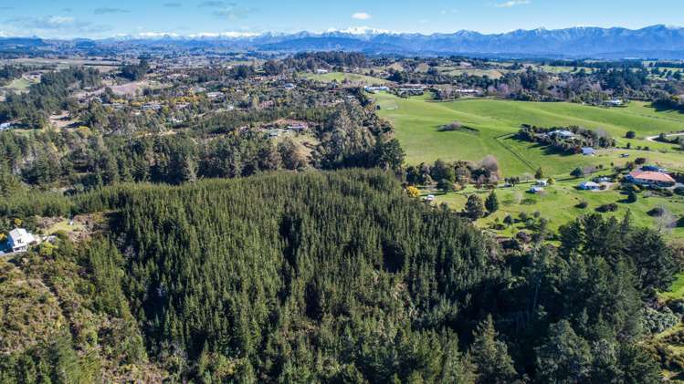 168 Seaton Valley Road Upper Moutere_3