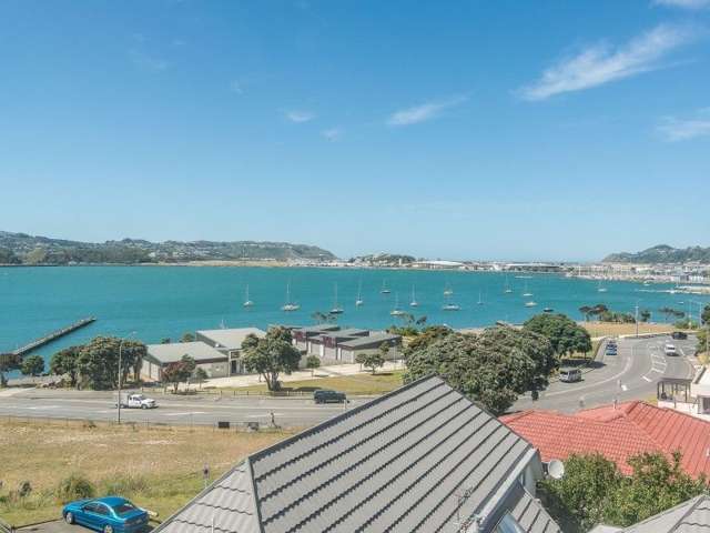 39a Treasure Grove Hataitai_2