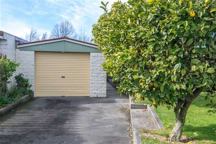 10a Owen Place Springlands_20