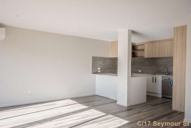 C/17 Seymour Street Hornby_1