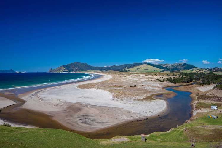 Kauri Mountain Road Whangarei_6