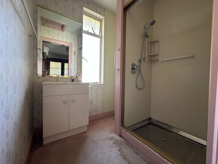 86 David Street Hinds_10