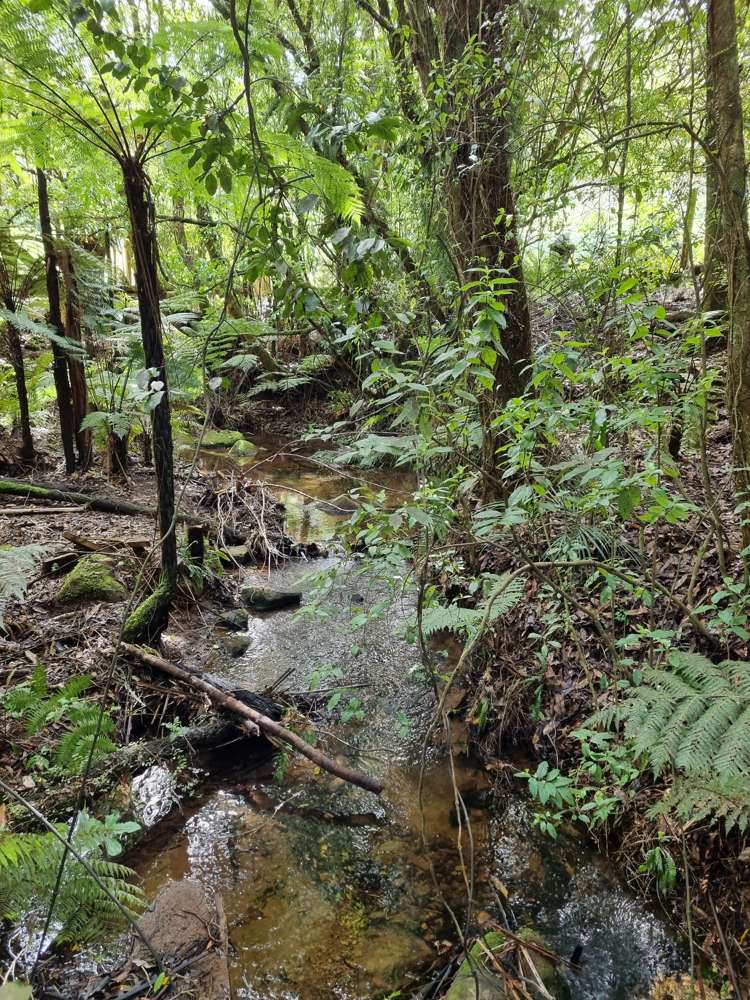 165 Pekanui Road Puketotara_31