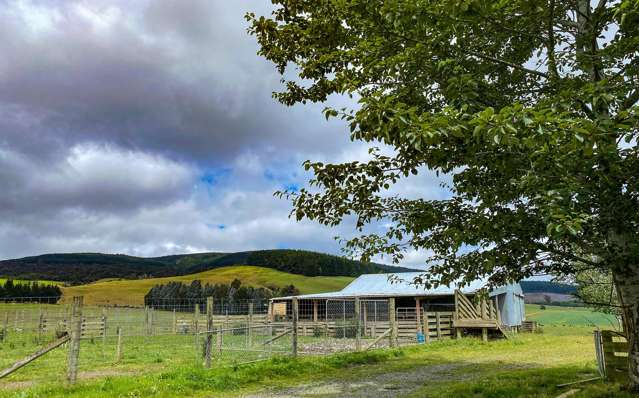 111 Slaughterhouse Road Otautau_4