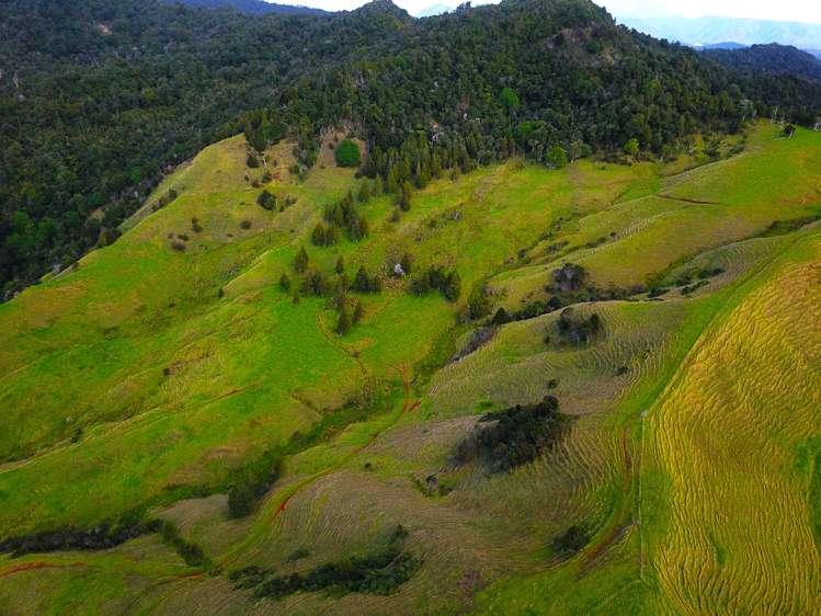 92 Takahue Saddle Road Takahue_45