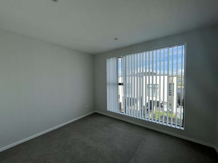 33 Hinonga Loop 1629_6