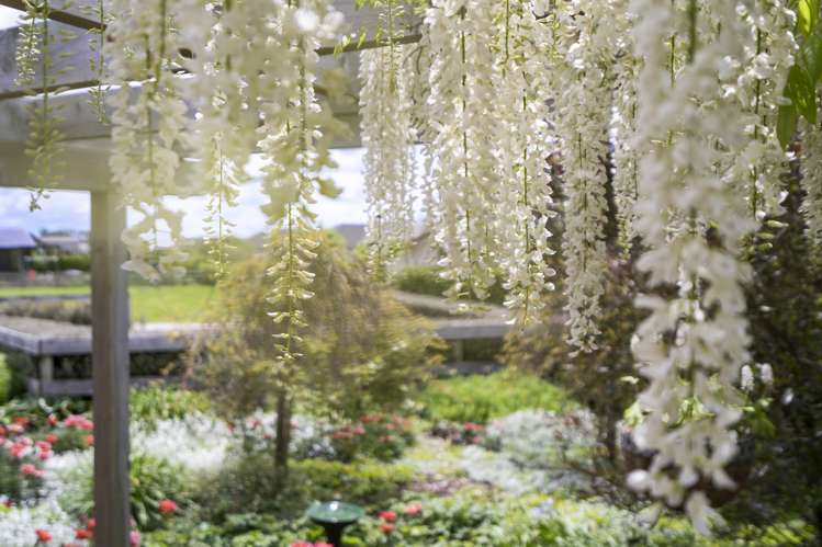 49 Baxter Michael Crescent Cambridge_26