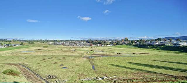 11a Jellicoe Street Te Puke_1