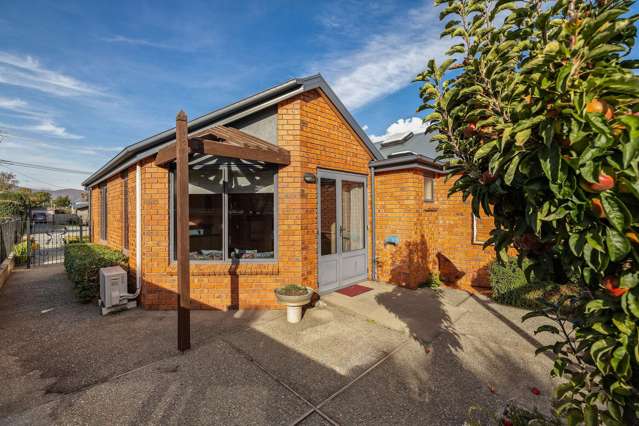 17 Mcbride Street Frankton_4