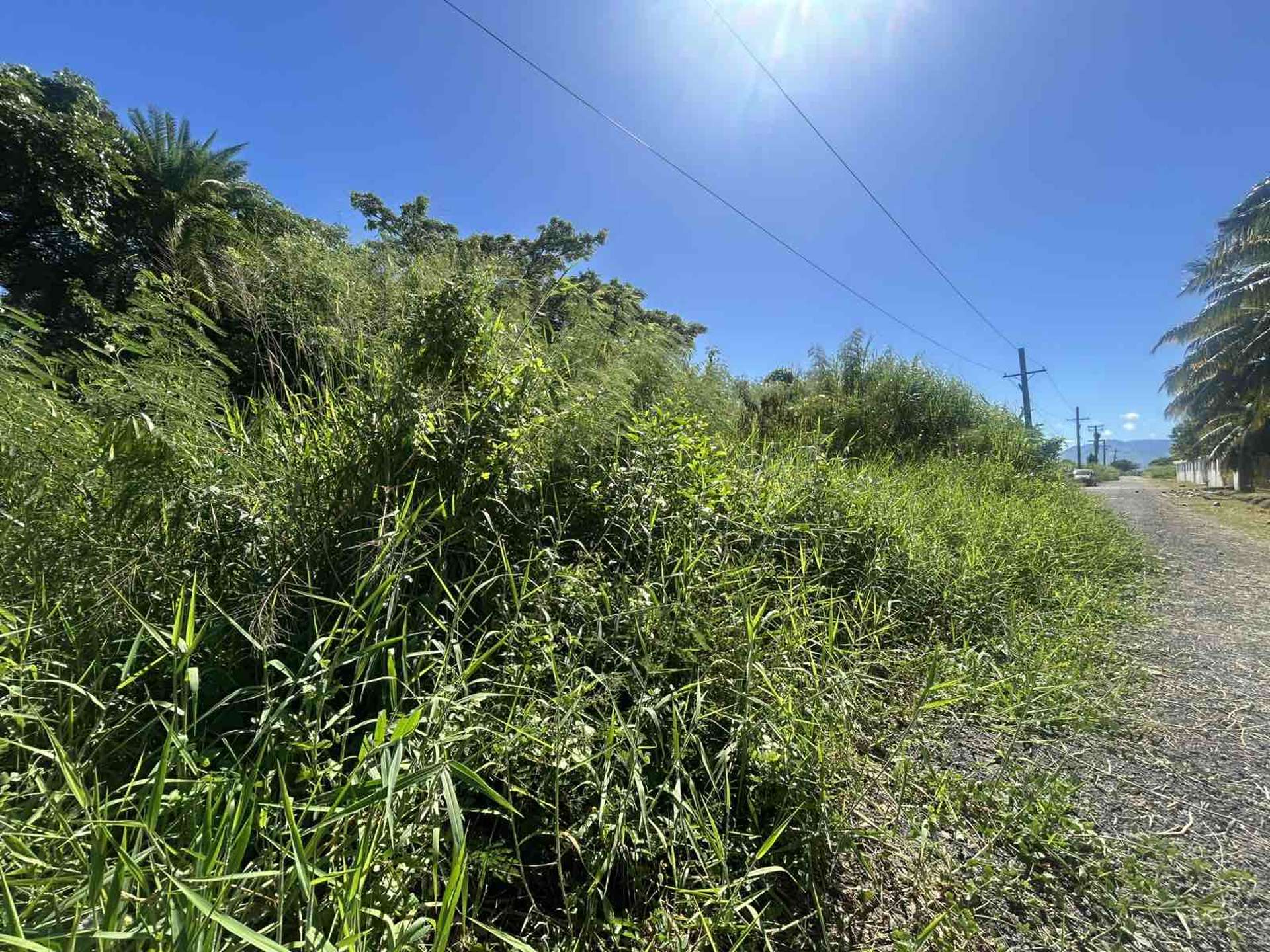 Lot 11 Pali Street Off Nasoso Road Nadi_0