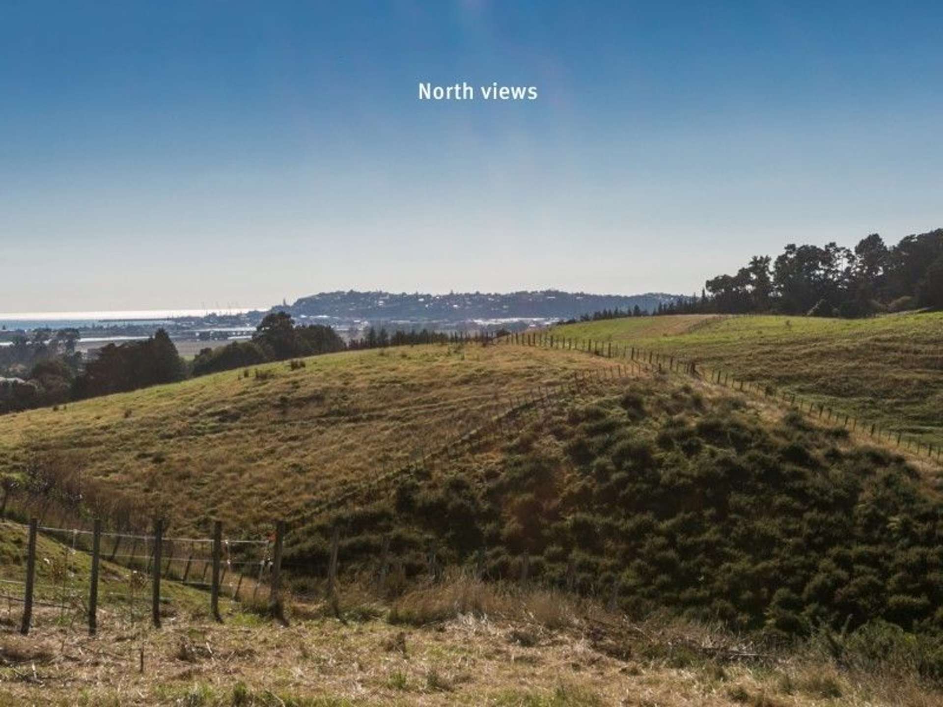 Napier Ridge 24 Quarry Ridge | Poraiti | Napier City | Houses for Sale - OneRoof