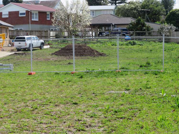 Puniu Road Te Awamutu_2