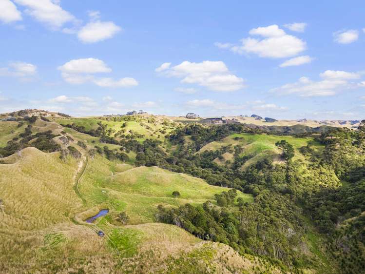 2368 Wairamarama Onewhero Road Glen Murray_22