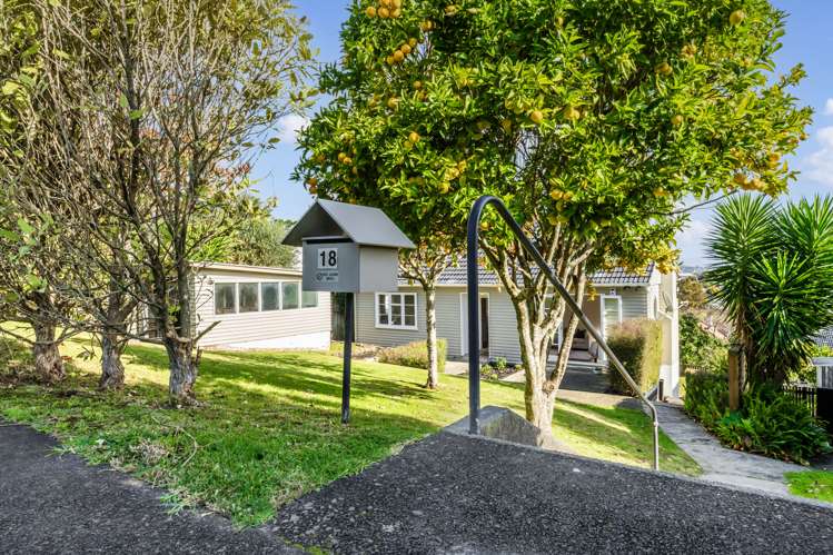 18 Scout Avenue Mount Roskill_16
