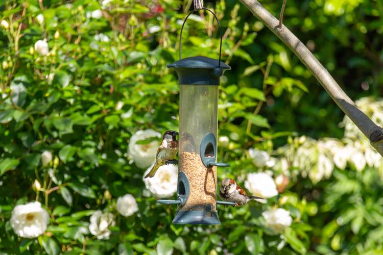 70 Naples Street Martinborough_16