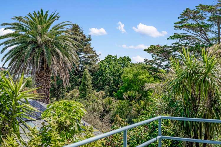 3/38a Rarangi Road Saint Heliers_11