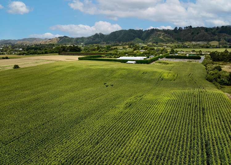 1200 State Highway 1 Manakau_2