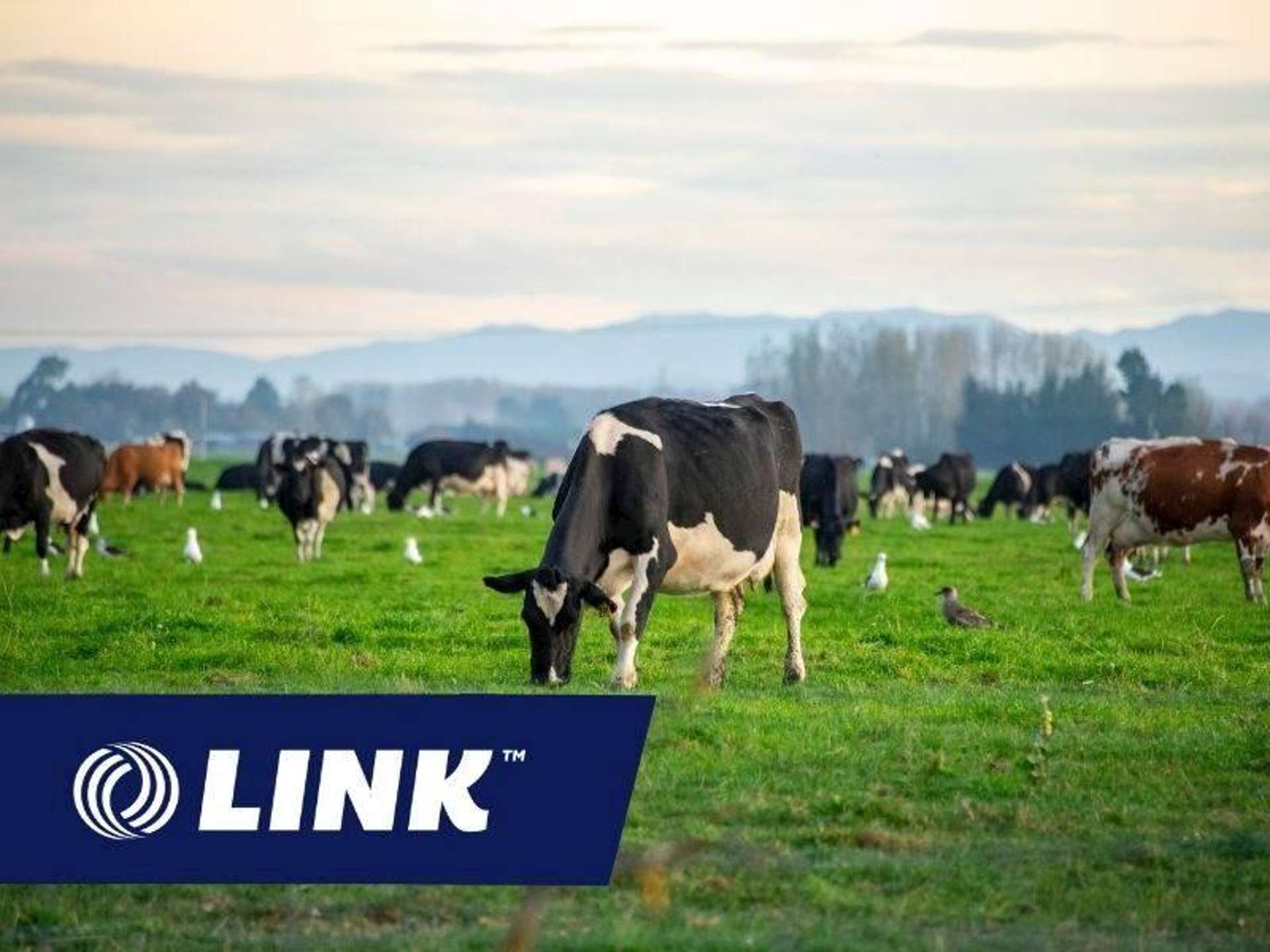 Address withheld Waikato Surrounds_0