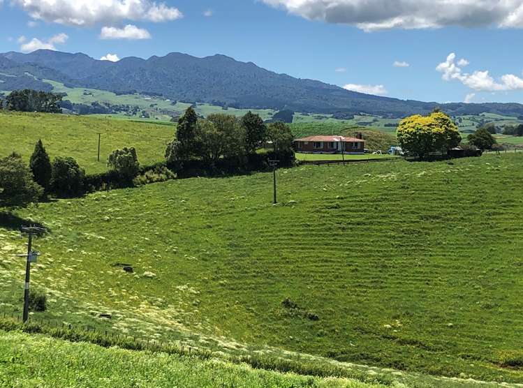 1564 State Highway 31 Kawhia Road Otorohanga_6