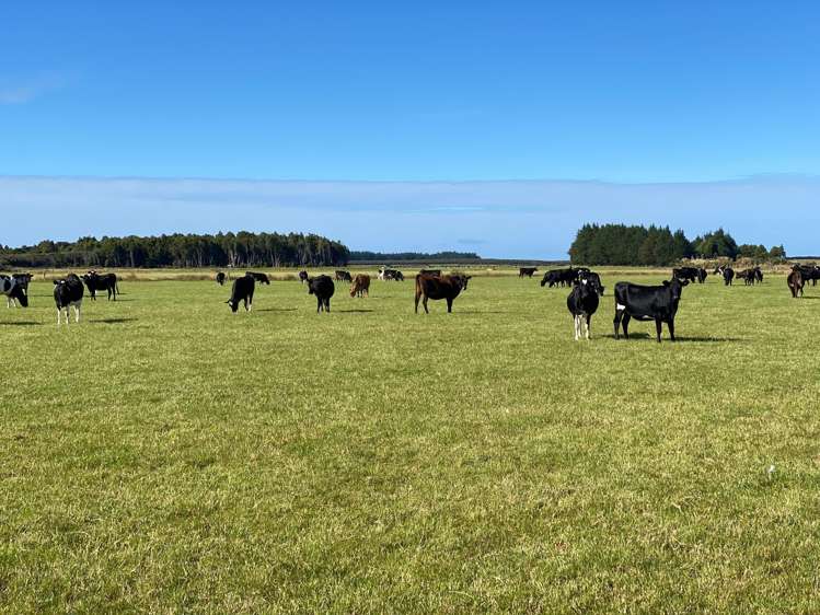 235 Waituna Lagoon Road Wyndham Surrounds_17