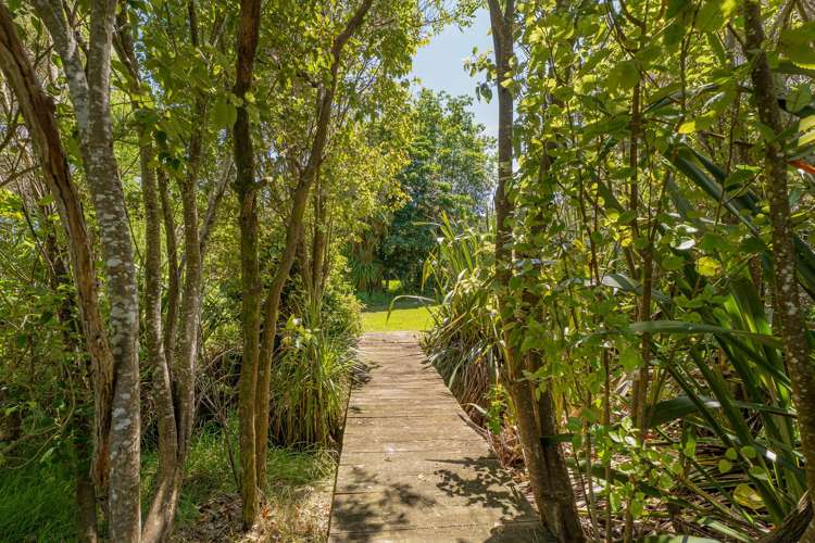 248 Sh25 Kuaotunu_25