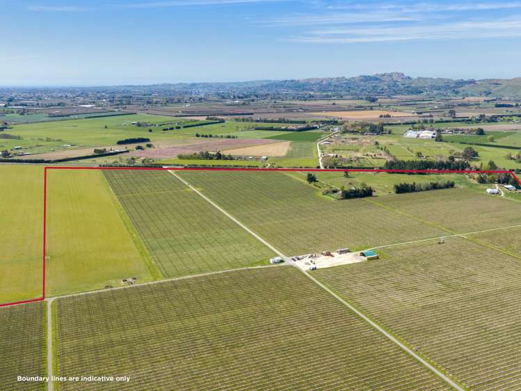 264 Paki Paki Road Longlands_24