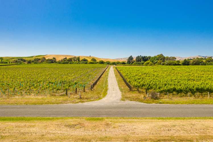 287 Brancott Road Fairhall_17